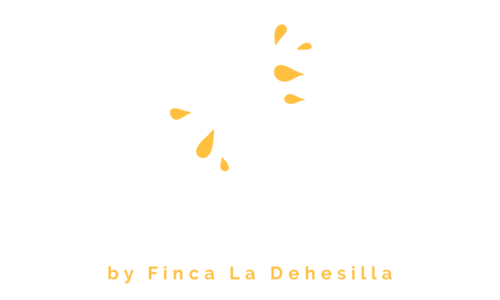 Show Flamenco Madrid - Cena y espectaculo - Sabor Flamenco